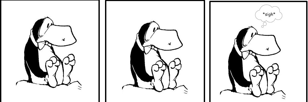 Tigger_2021's profile banner image