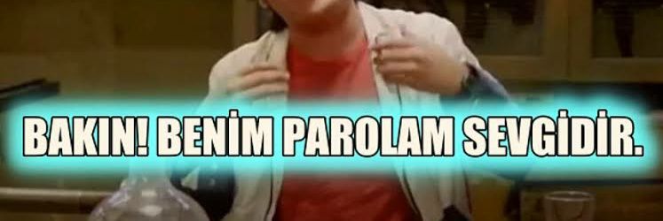 foolwizardd's profile banner image