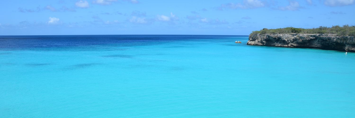 Stephanie Sartor banner