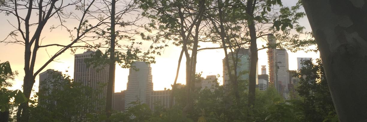 Amanda Hollander banner