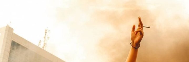 tintasiberis's profile banner image