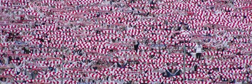 Maciej Rogalski banner