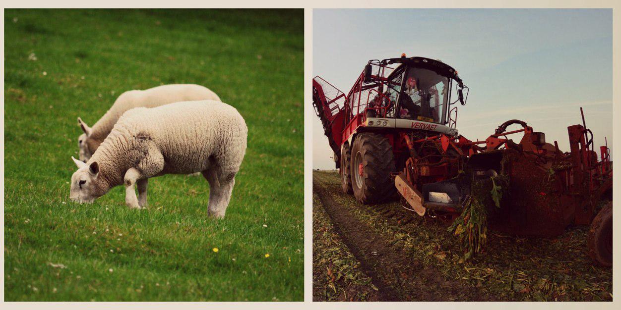 FarmingVoice's profile banner image