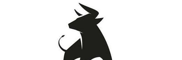 Torito Hernandez banner