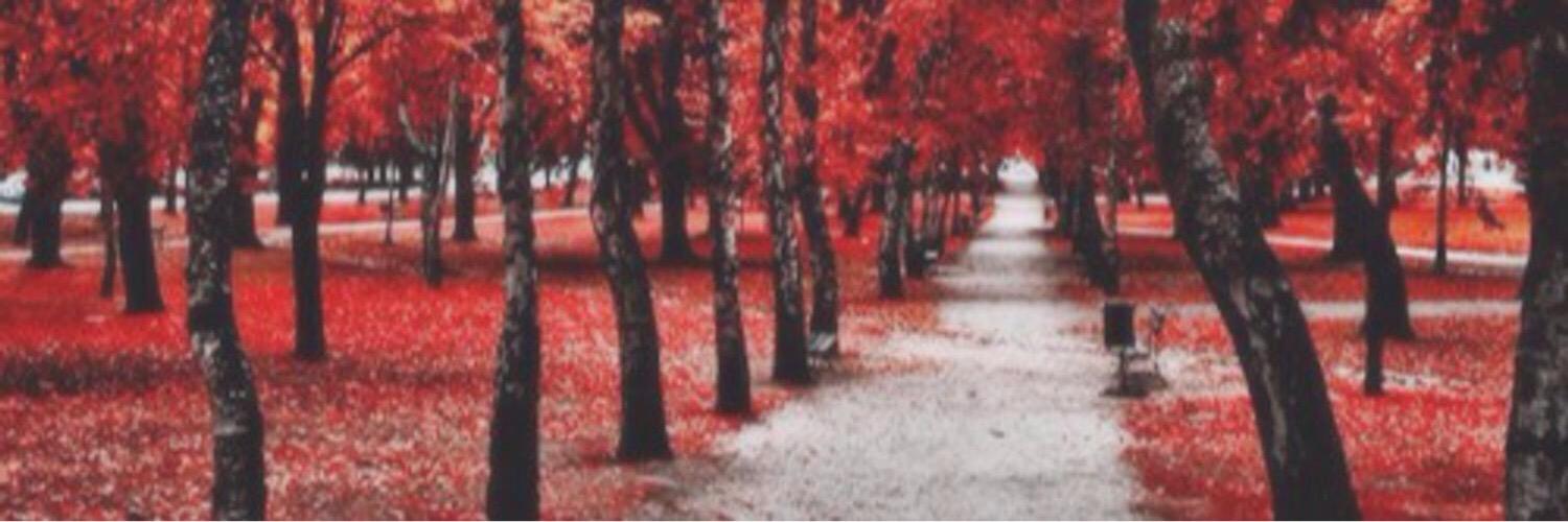 Meganchinn's profile banner image
