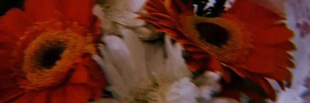 bbygeminian's profile banner image