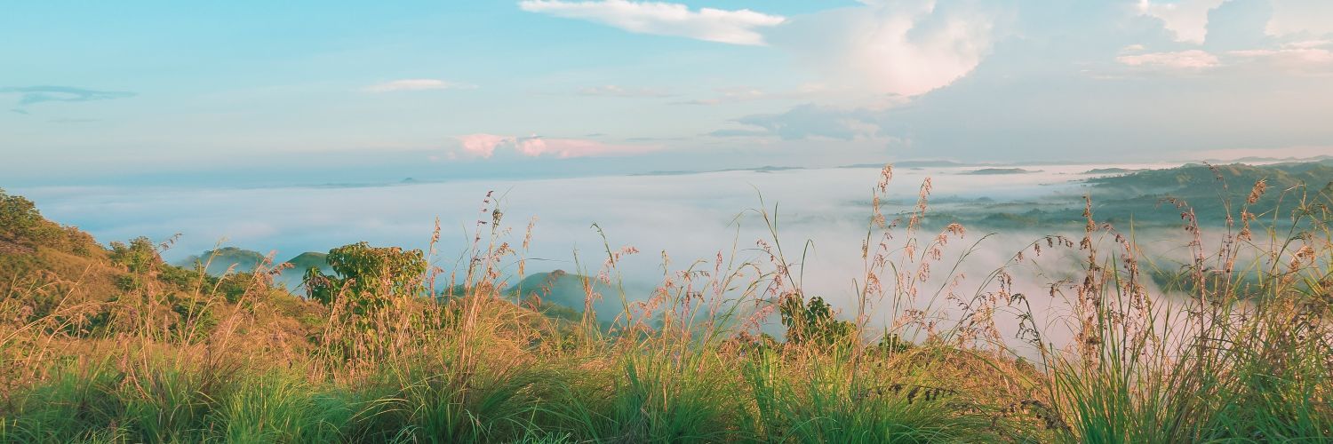 ykasantos's profile banner image