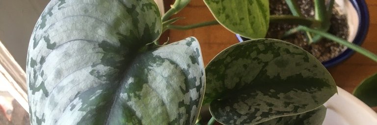 jessigraber's profile banner image