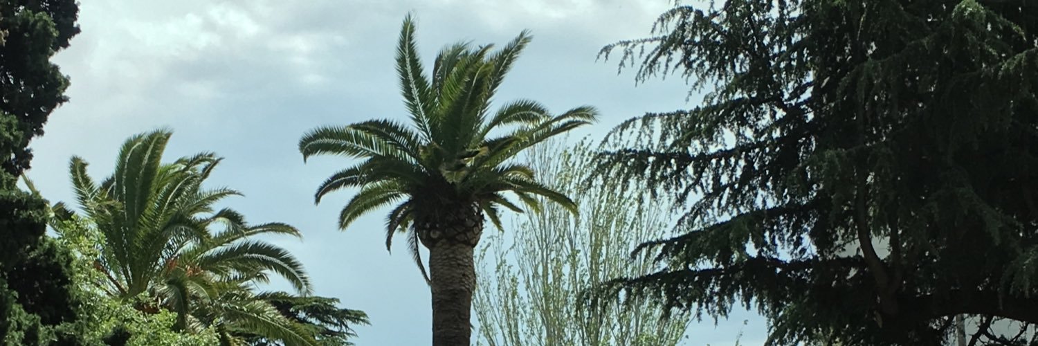 jess00S's profile banner image