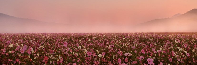 sarapaulson_'s profile banner image