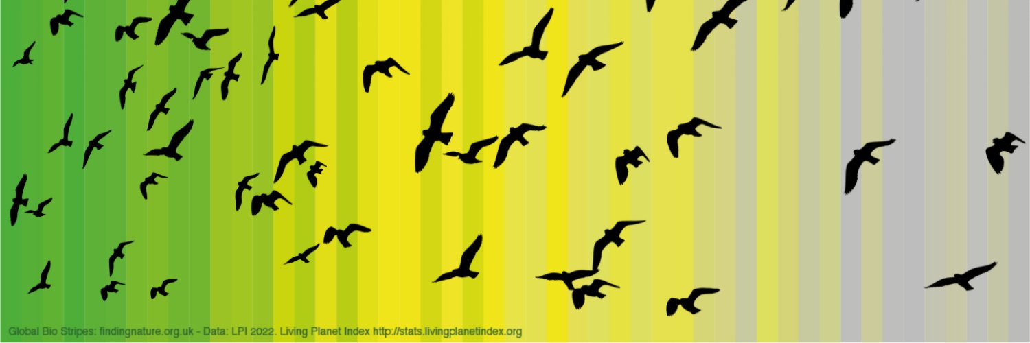 Javier Martín banner