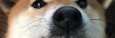 CatSoupLover 🐱ඞ banner
