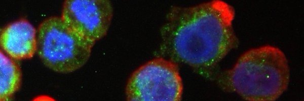 drkingfletch Profile Banner