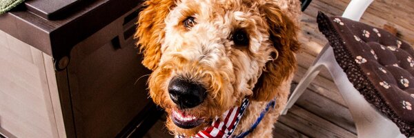 Tech1ceTech2ce Profile Banner