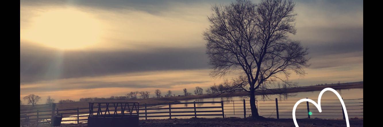buff_tay's profile banner image