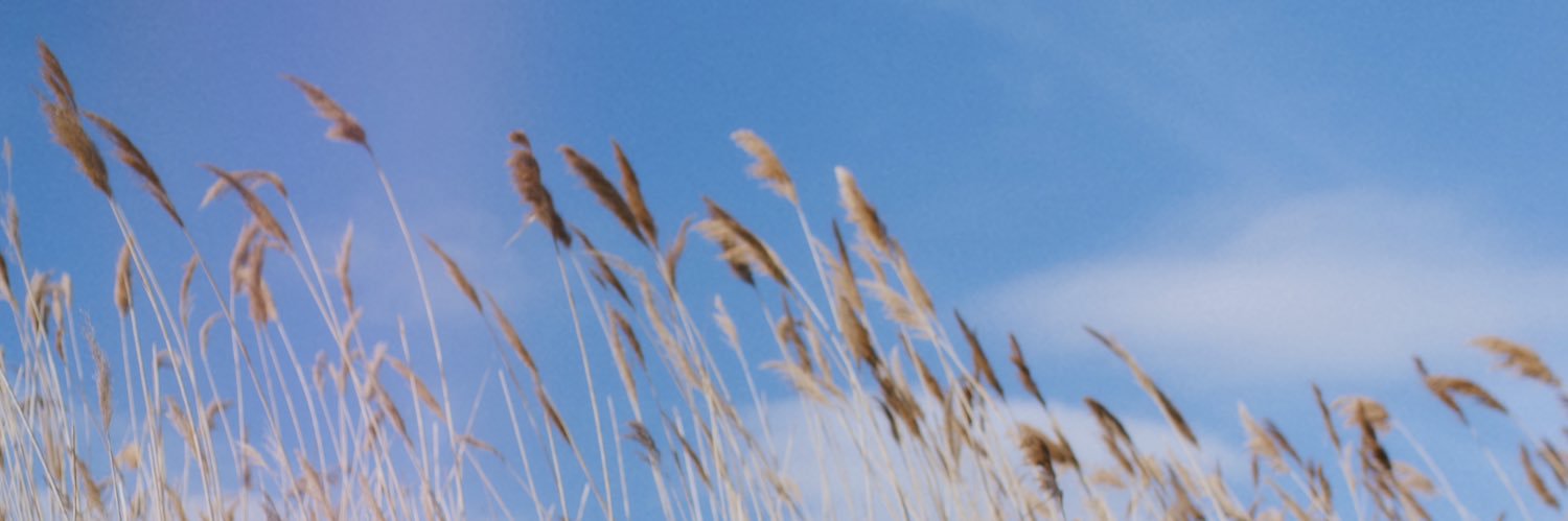forevermaggiee's profile banner image