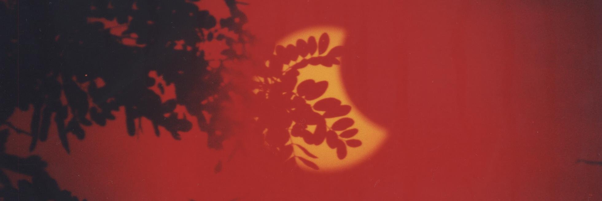 zybi_z's profile banner image