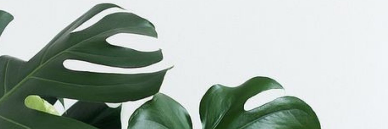 fairybossmothaa's profile banner image