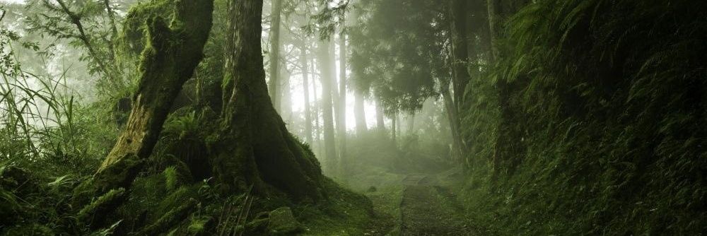 Landfreundin1's profile banner image