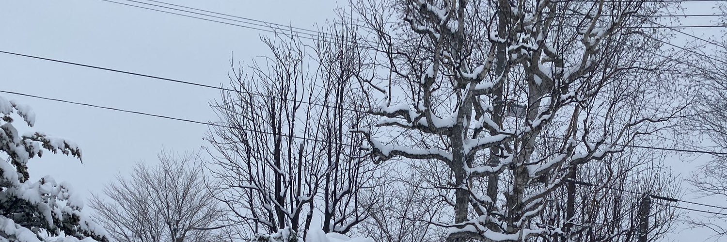 4nutsA's profile banner image