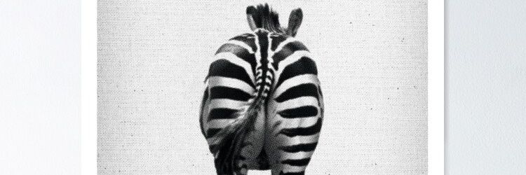 cebreandolavida's profile banner image