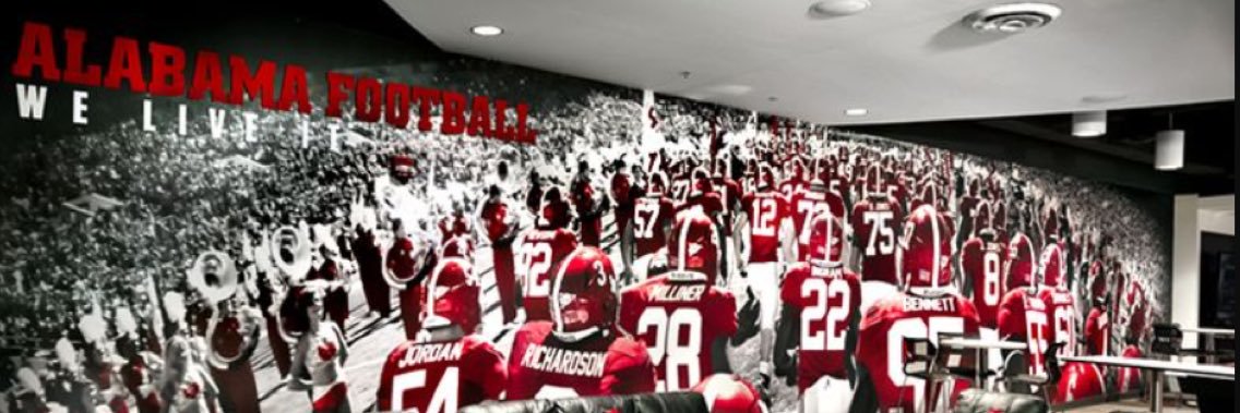 BamaVideo banner