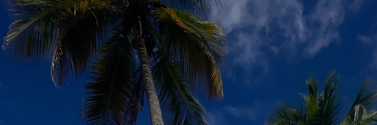 manuelyadzel's profile banner image