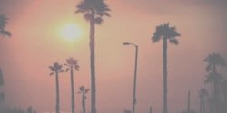 YelyahTF's profile banner image