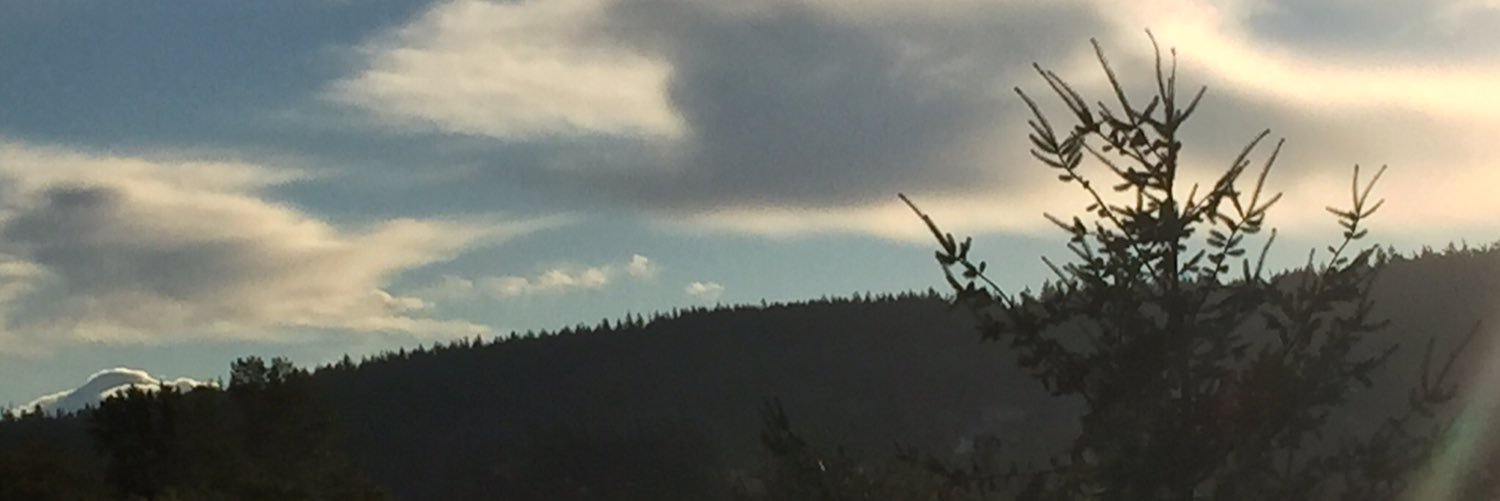 BassthovenMusic's profile banner image
