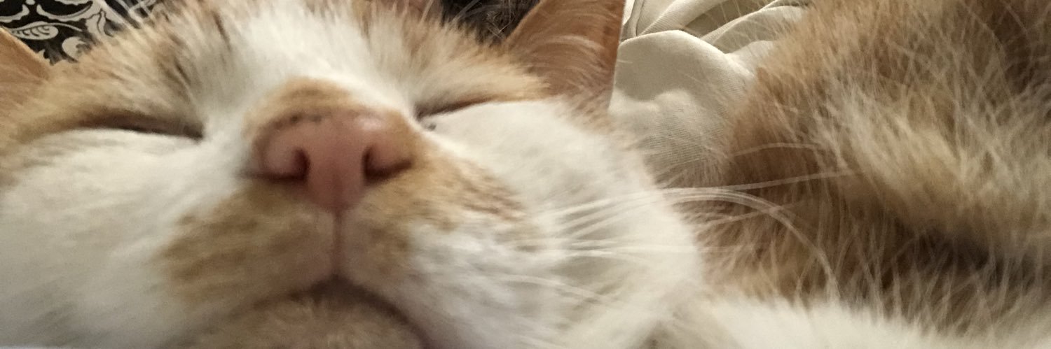 tori_mess's profile banner image