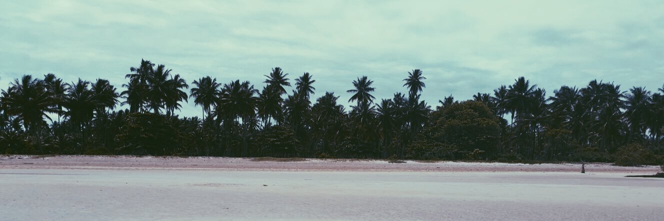 Micuzinoni's profile banner image