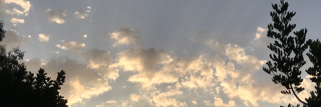 melena138's profile banner image