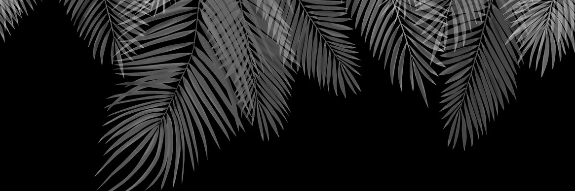 6ceads's profile banner image