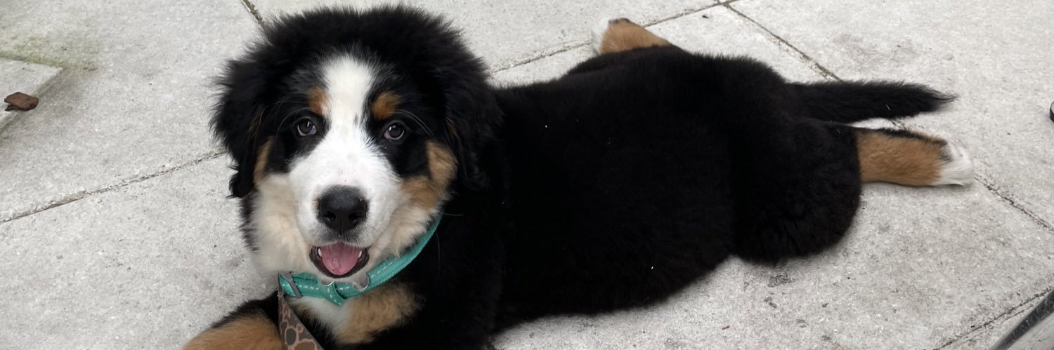 Tanner Palmore banner