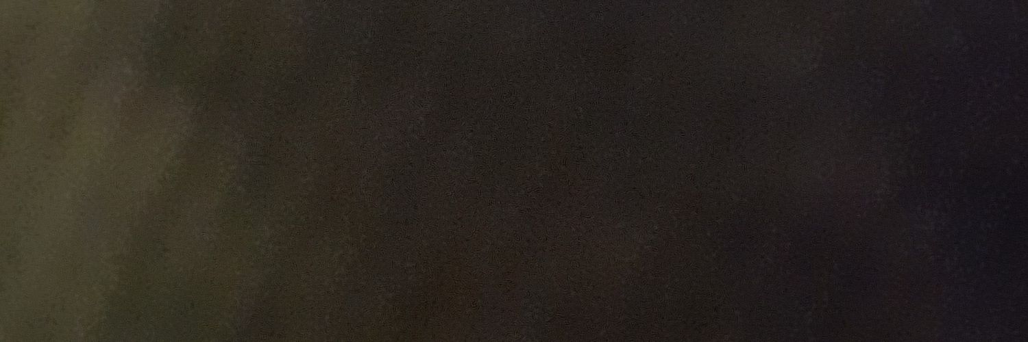 nylonmani's profile banner image