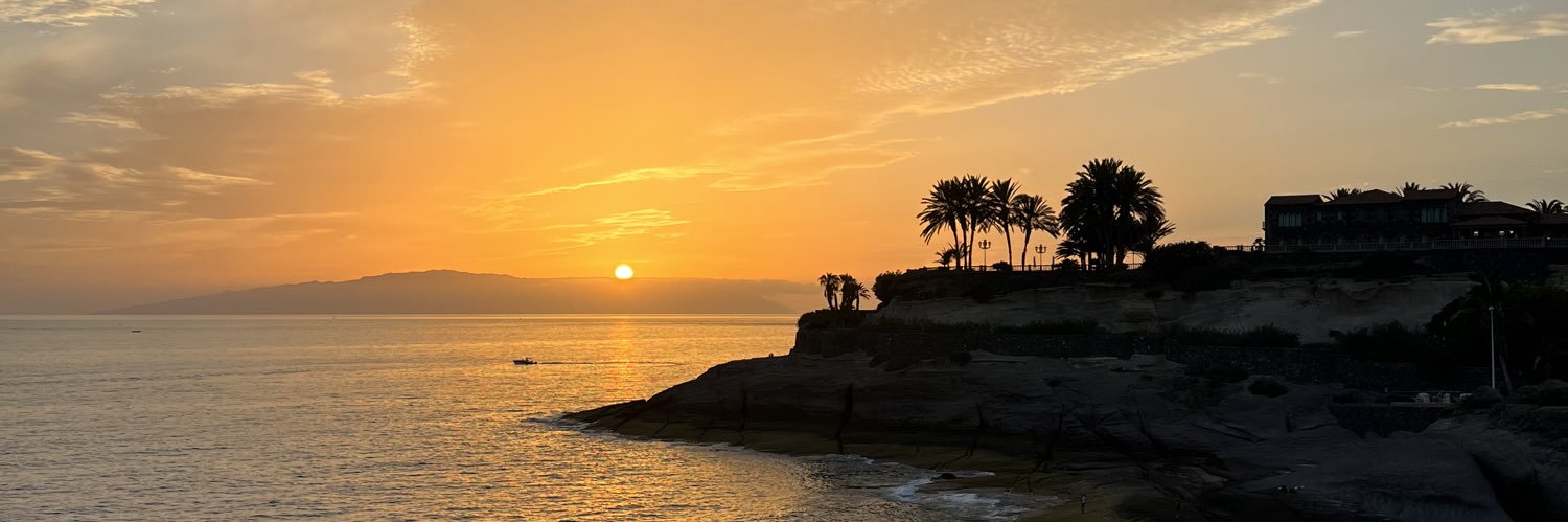 Thomas Willmott banner