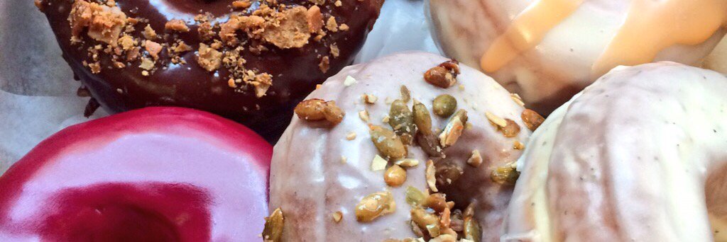 The Doughnut Project banner