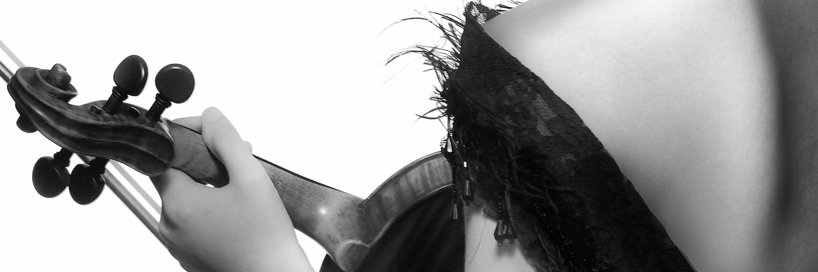 maureenchoi's profile banner image