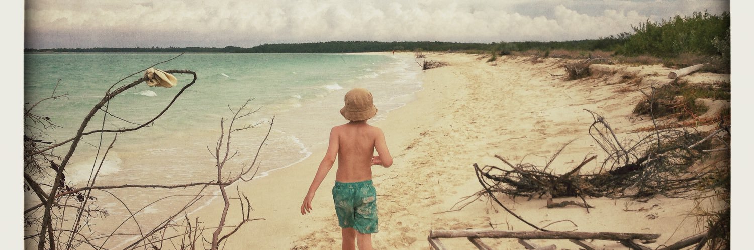 Debbie Callahan banner