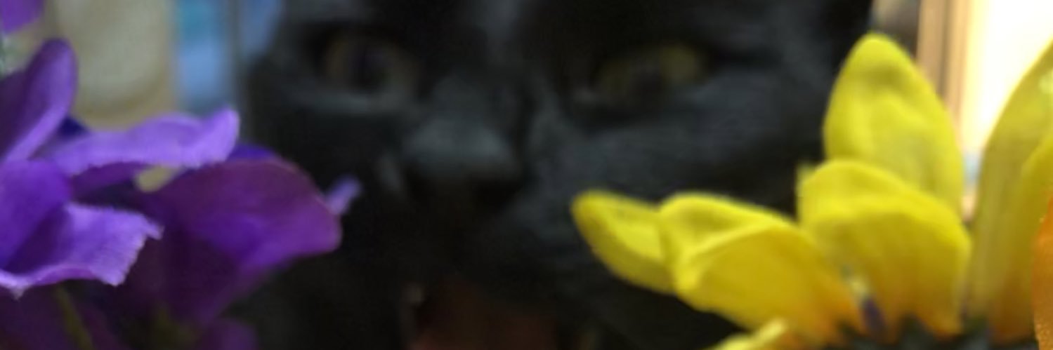 Doodle Dearest banner