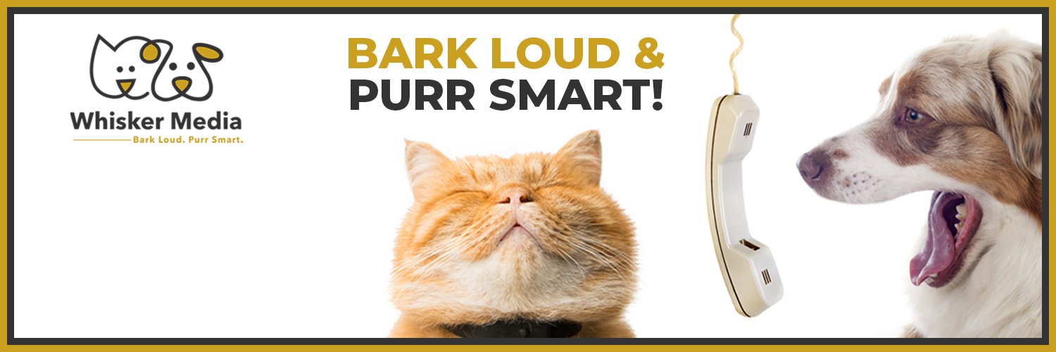 WhiskerMedia's profile banner image