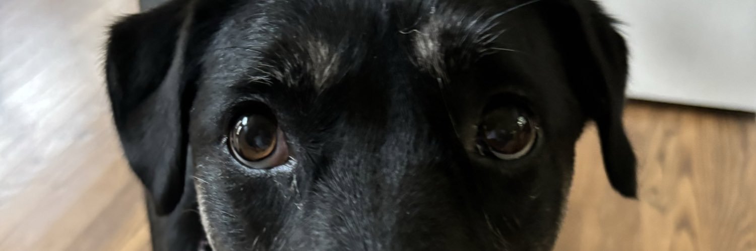 ThePiffin's profile banner image