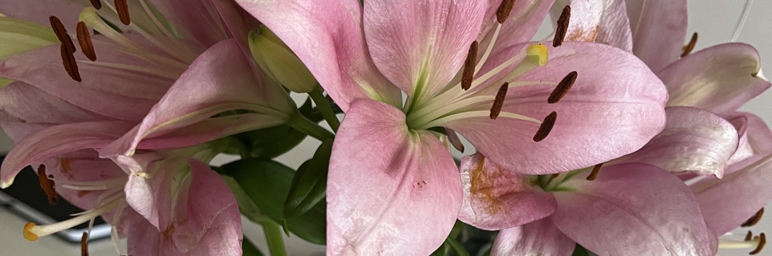 adelejcooper_'s profile banner image