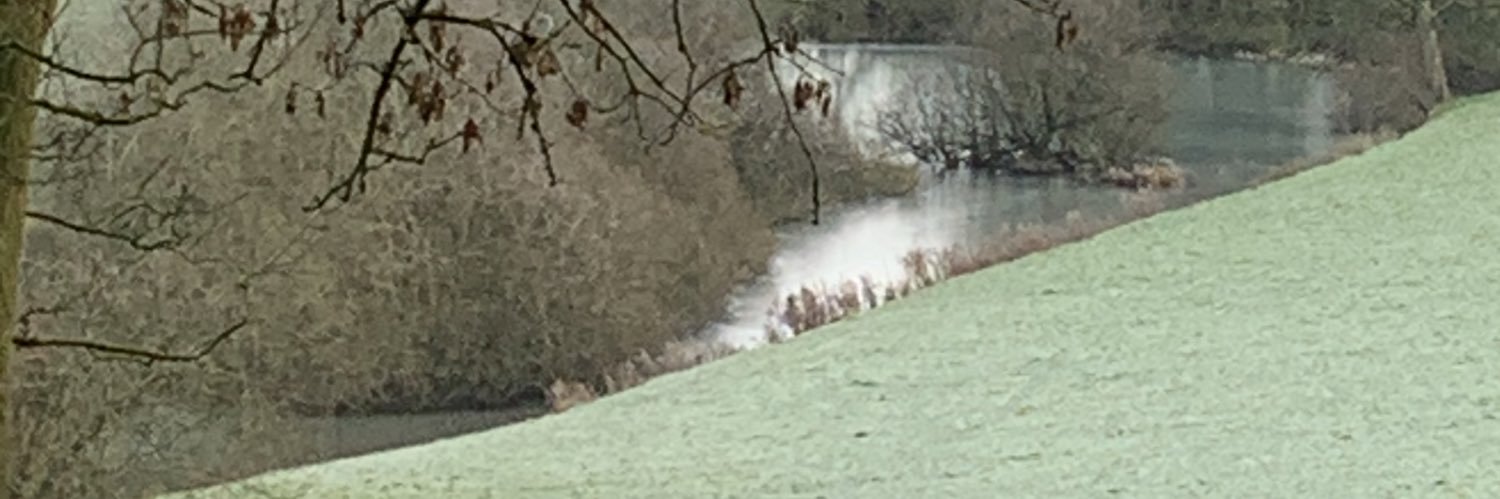 AnnaMGrey's profile banner image