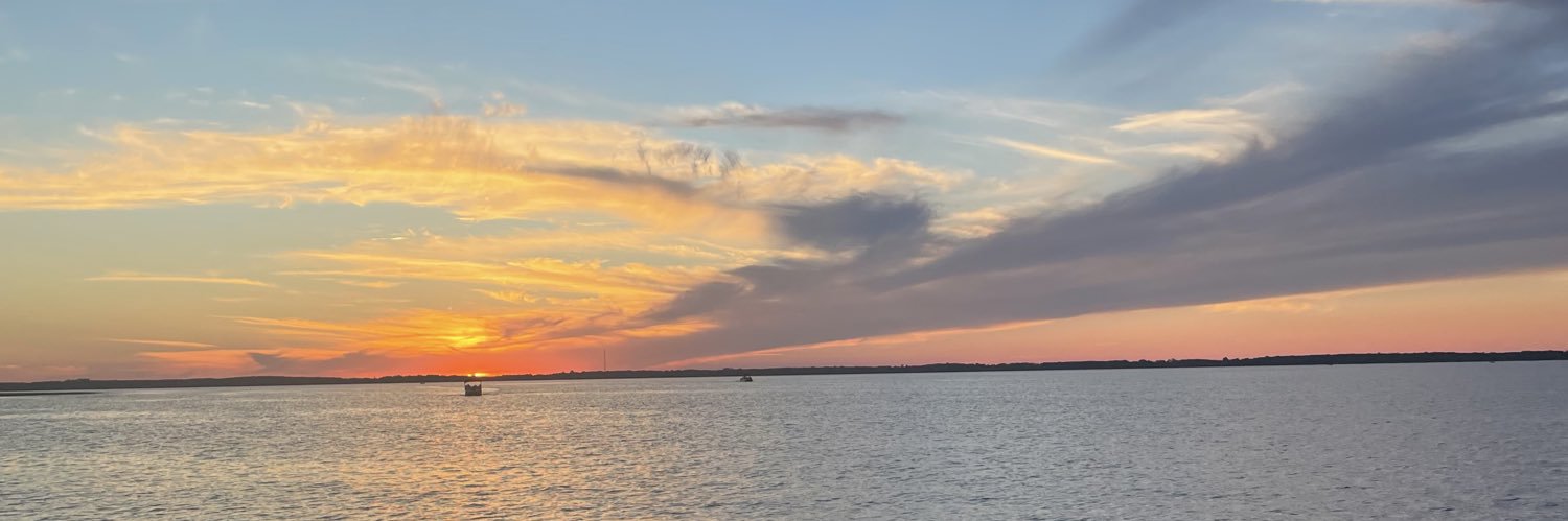 chloschu_'s profile banner image