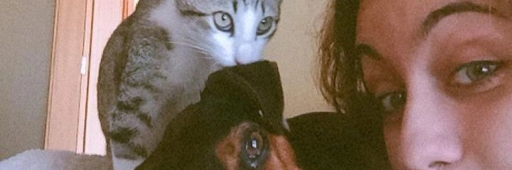 sofialeitoa's profile banner image