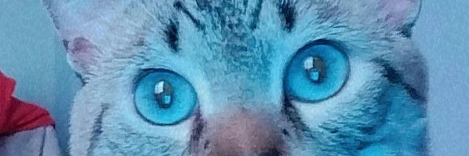 ᴿᴬᴵ ˙ ᵉˣᵒ banner