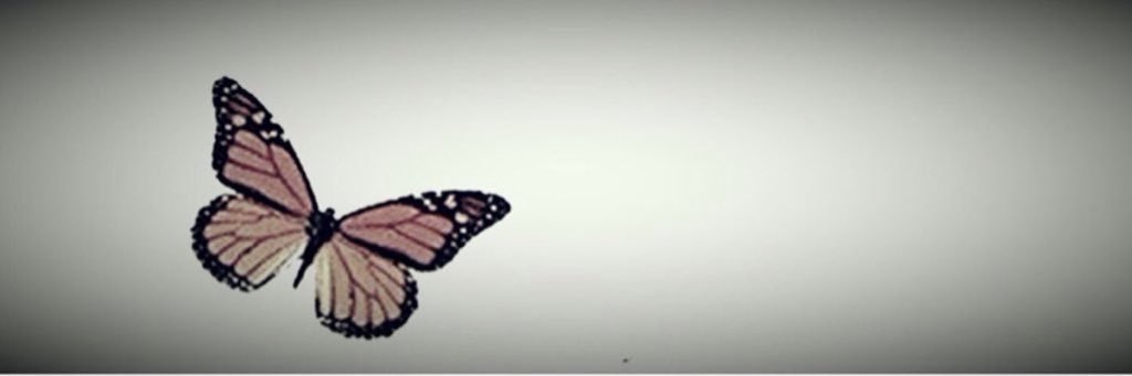 Shatha_Alwared's profile banner image