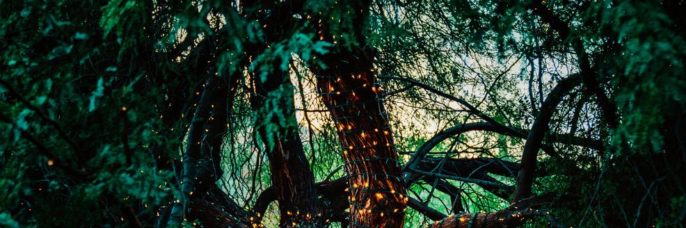 OhPinfeathers's profile banner image