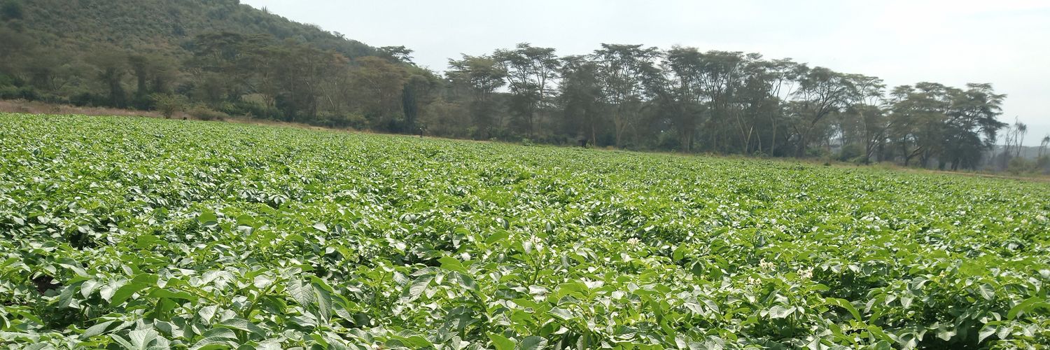 Steve Kamau banner